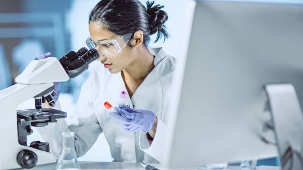 Web Application Screenshot